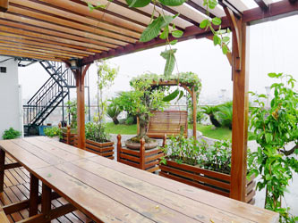 2 br apartment for rent in Dong Da, Nice sharing Rooftop Terrace Garden
