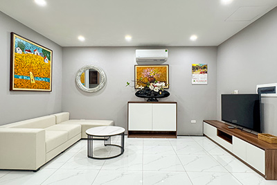 Brand new 01 bedroom apartment for rent on Au Co street, quiet location