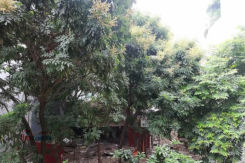 Four bedroom house with garden and cout yard in Ba Dinh 12