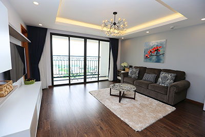 modern, cozy 02 bedroom apartment in B building D Le Roi Soleil