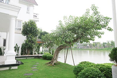 Vinhomes Riverside: Elegant and spacious 04BRs villa in Anh Dao, river access